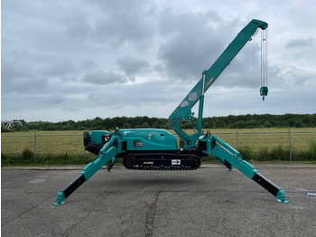 Mini grua