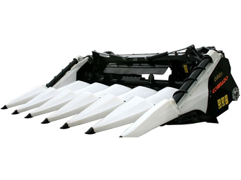 : foto do cabeçalho