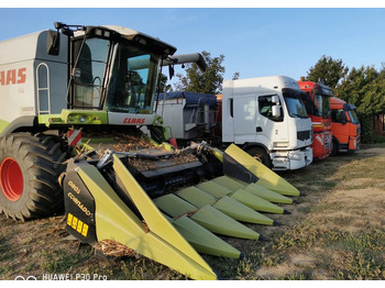 Plataforma para colher milho novo Oros Cornado 6 4+2R Nowa Przystawka do kukurydzy: foto 3