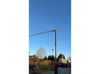 Grua automontante LIEBHERR