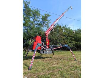 Mini grua