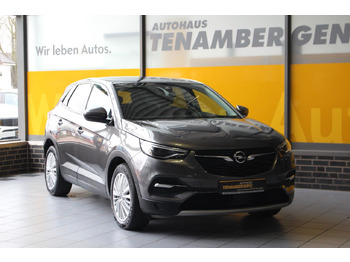 SUV novo Opel Grandland X Innovation AT-8 Navi Kamera LED AHK: foto 2