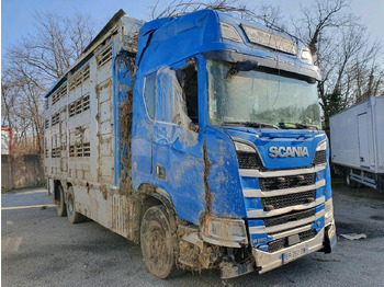 Camião transporte de gado SCANIA R 580