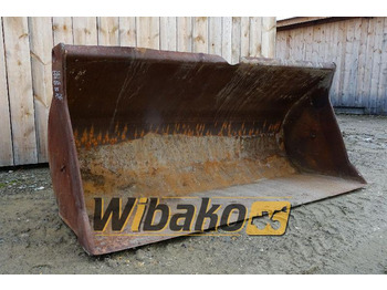 : foto do cabeçalho