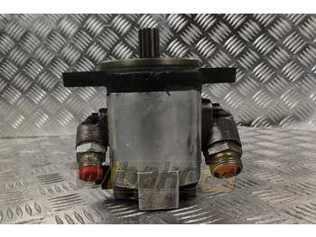 : foto do cabeçalho