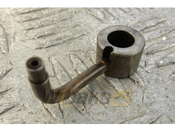 : foto do cabeçalho