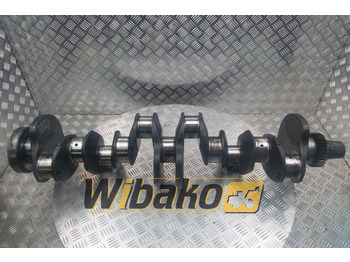 : foto do cabeçalho