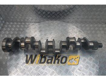 : foto do cabeçalho