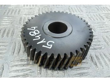 : foto do cabeçalho