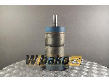 Motor hidráulico
