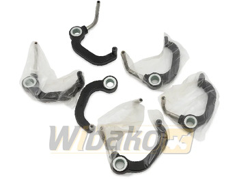 : foto do cabeçalho