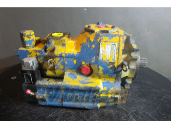 : foto do cabeçalho