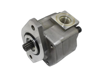 : foto do cabeçalho