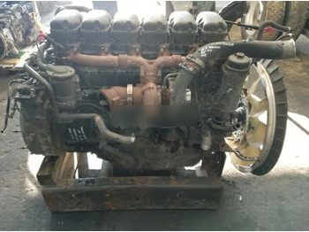 : foto do cabeçalho