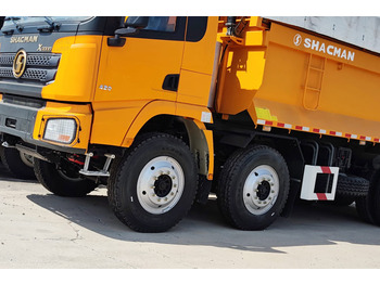 Camião basculante para transporte de materiais a granel novo SHACMAN Shacman Heavy Duty Truck for Sale in Guyana: foto 4
