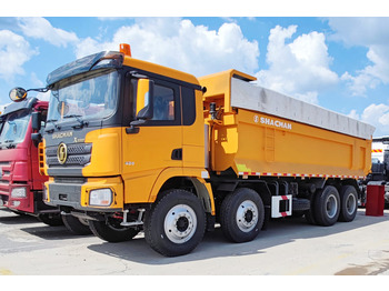 Camião basculante para transporte de materiais a granel novo SHACMAN Shacman Heavy Duty Truck for Sale in Guyana: foto 2