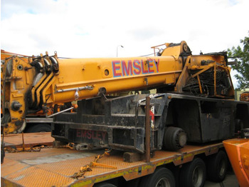 Grua móvel Terex AC 25 for parts: foto 2