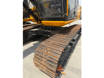 : foto do cabeçalho