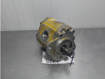 : foto do cabeçalho