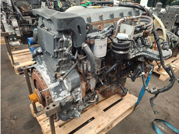 Motor Iveco F3AE3681Y [EURO5]: foto 3