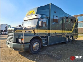 Camião de transporte de cavalos SCANIA 113