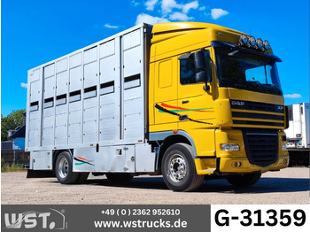 Camião de transporte de cavalos DAF XF