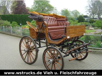 Reboque transporte de gado Exclusiver Doktorwagen Inzahlungn. v. Pferden: foto 4