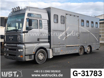 Camião de transporte de cavalos MAN TGA 26.480