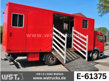 Camião de transporte de cavalos MERCEDES-BENZ