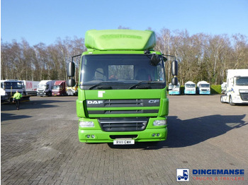 Tractor DAF CF 75.310 4x2 RHD: foto 5