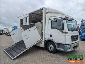 Leasing de MAN TGL 12.250 4x2 Euro5 EEV RC HorseTruck - 2a3 Paards - 135.000km - MARGE (V821) MAN TGL 12.250 4x2 Euro5 EEV RC HorseTruck - 2a3 Paards - 135.000km - MARGE (V821): foto 3