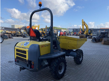 Caminhão articulado Wacker Neuson 3001: foto 4