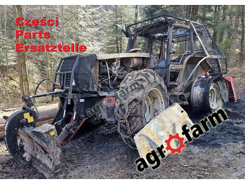 : foto do cabeçalho