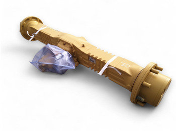 : foto do cabeçalho