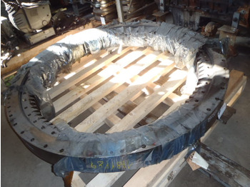 : foto do cabeçalho