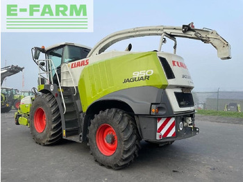 Picadora de forragem automotriz CLAAS Jaguar 950