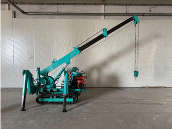 Mini grua