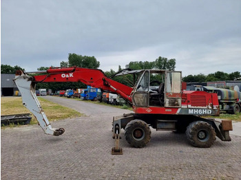 : foto do cabeçalho