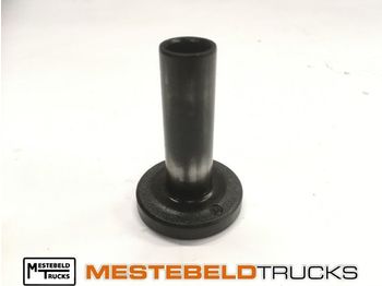 : foto do cabeçalho