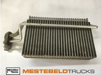 Cabine e interior MAN