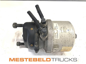 : foto do cabeçalho