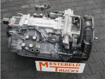 : foto do cabeçalho