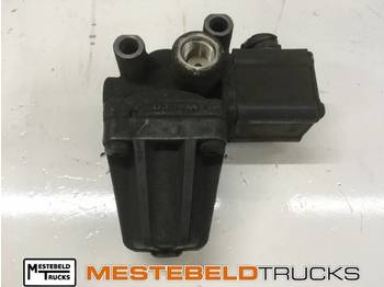 : foto do cabeçalho