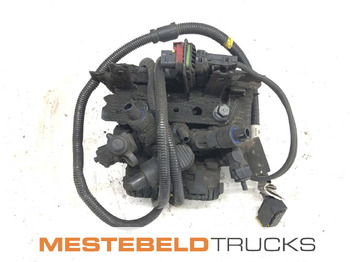 : foto do cabeçalho