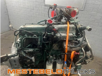 : foto do cabeçalho