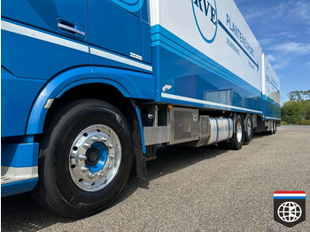 Camião frigorífico DAF XF 460 FAN TOP CONDITION - TRS ICELAND - 49CC flower combination: foto 4