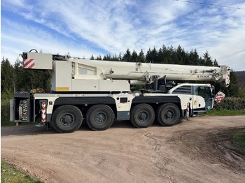 Grua móvel DEMAG
