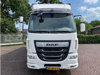 Camião furgão DAF LF 320 FA: foto 3