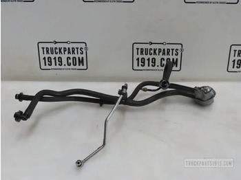 : foto do cabeçalho