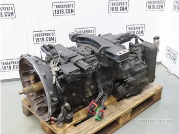 : foto do cabeçalho